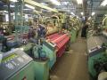 RAPIER LOOMS